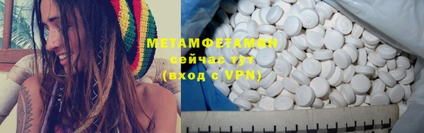 прущие грибы Михайловск