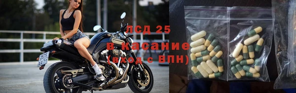 прущие грибы Михайловск