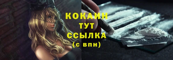 прущие грибы Михайловск
