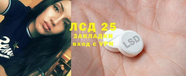 прущие грибы Михайловск