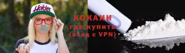 прущие грибы Михайловск