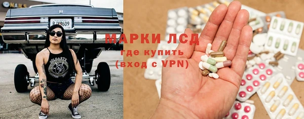 прущие грибы Михайловск