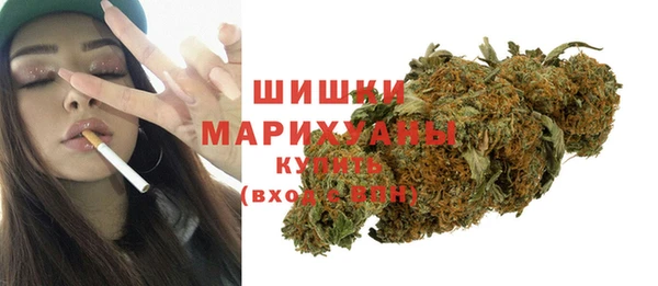 прущие грибы Михайловск