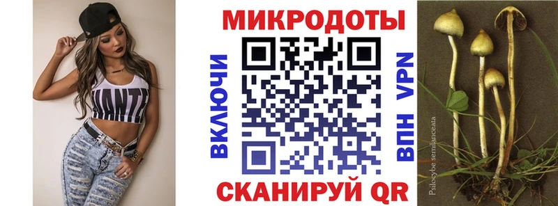 Галлюциногенные грибы Psilocybe  Купить закладки  Камызяк 