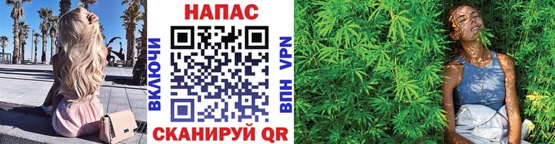 Купить где  Камызяк  Бошки Шишки сатива 
